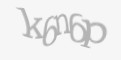 Защитный код