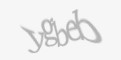 Защитный код