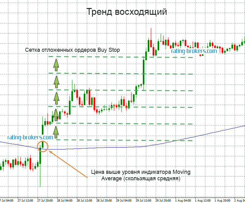 setka-buy